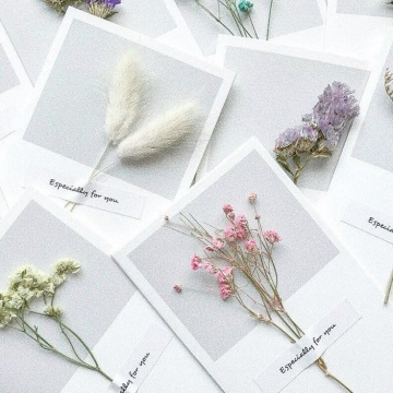 Открытка с сухоцветом